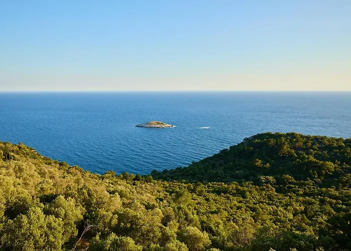 Baro Apartamento Maranovići